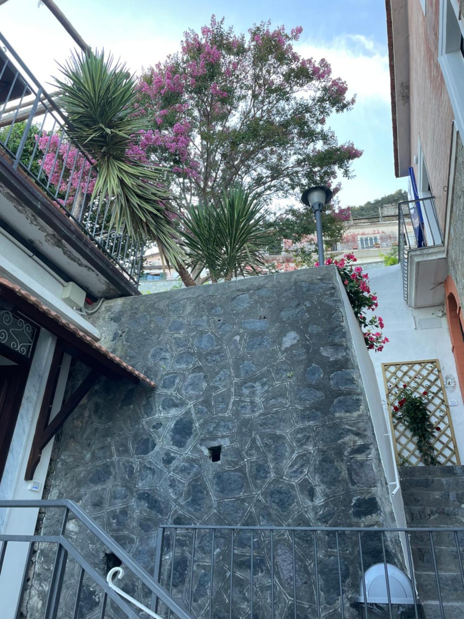 Villa Pino フローレ エクステリア 写真