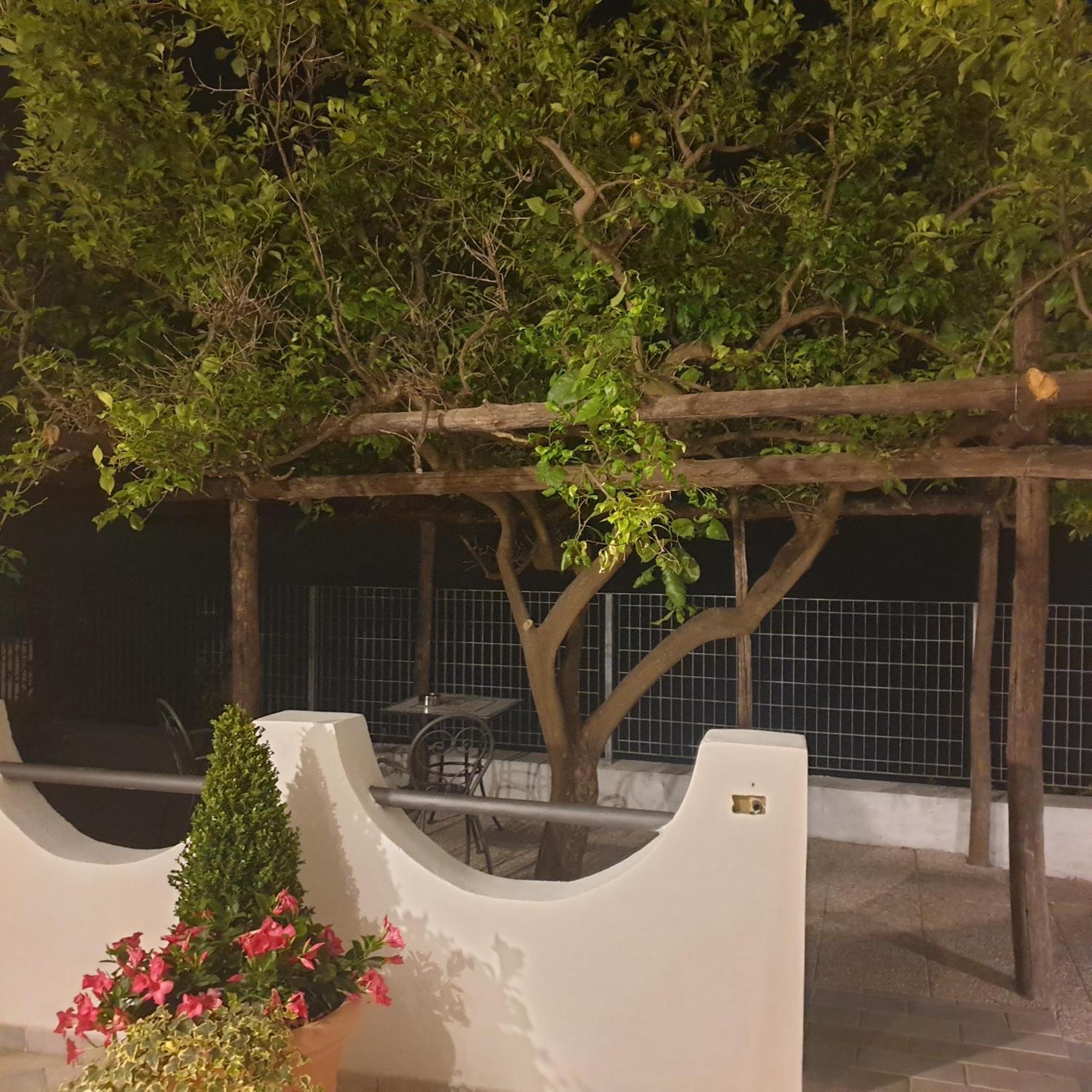 Villa Pino フローレ エクステリア 写真